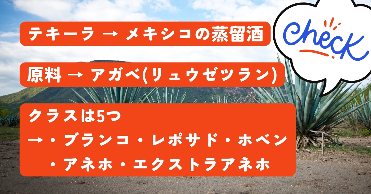 テキーラはアガベ（リュウゼツラン）から造られるスピリッツ